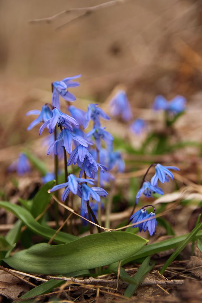 Photograph by Виктория Бережок