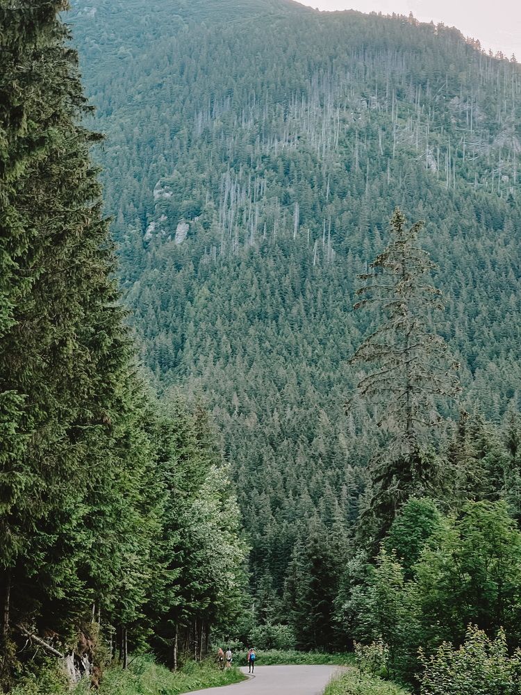 Photograph by Vialeta