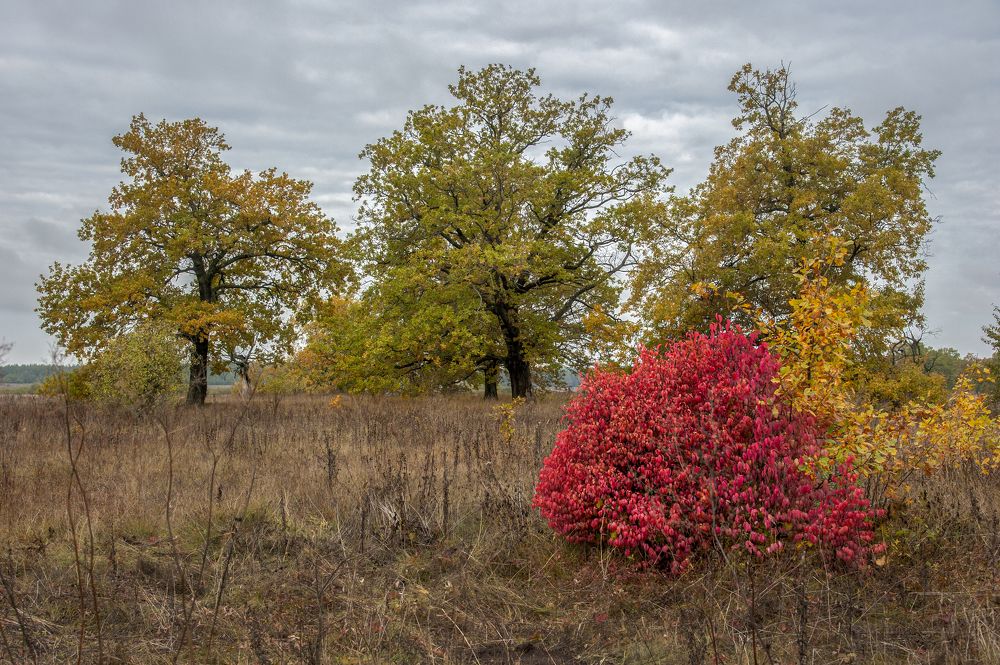 Photograph by АНДРЕЙ АБАКУМОВ