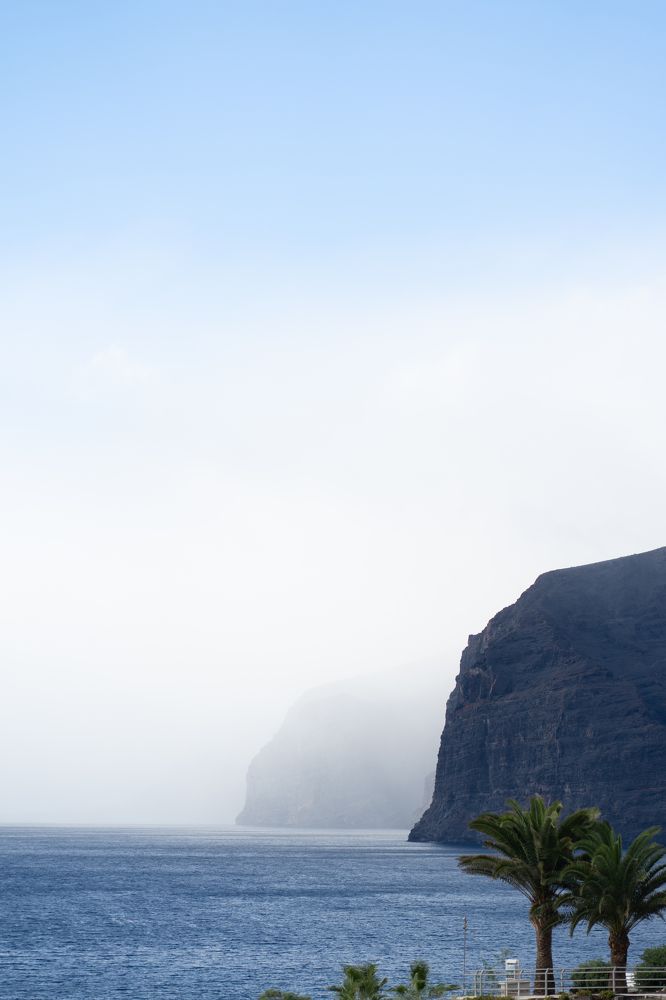 Photograph by Vialeta