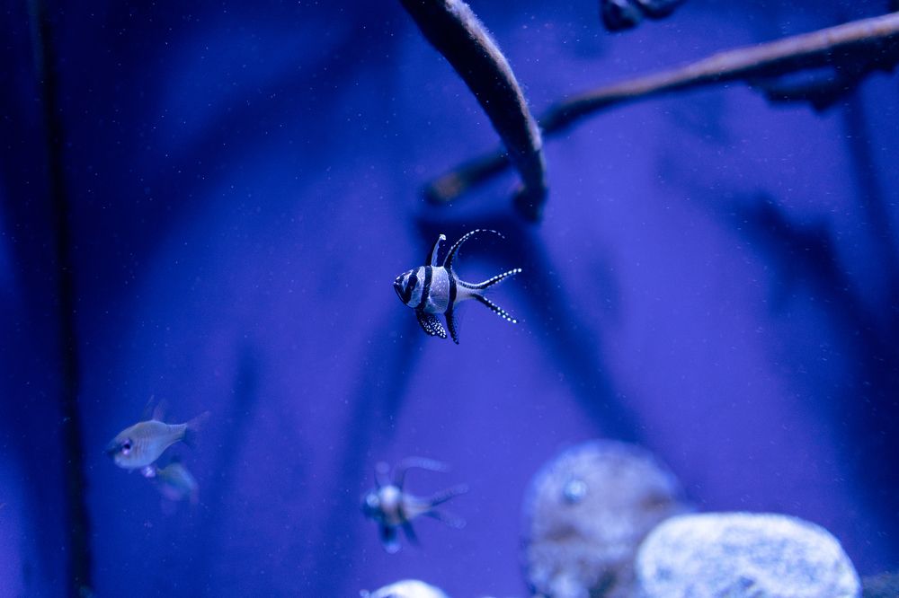 Photograph by Vialeta