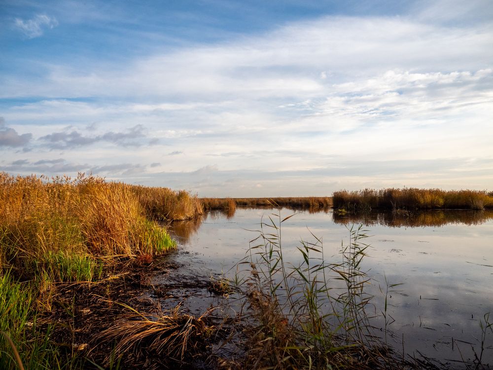 Осень на Финском заливе. | Autumn on the Gulf of Finland.
