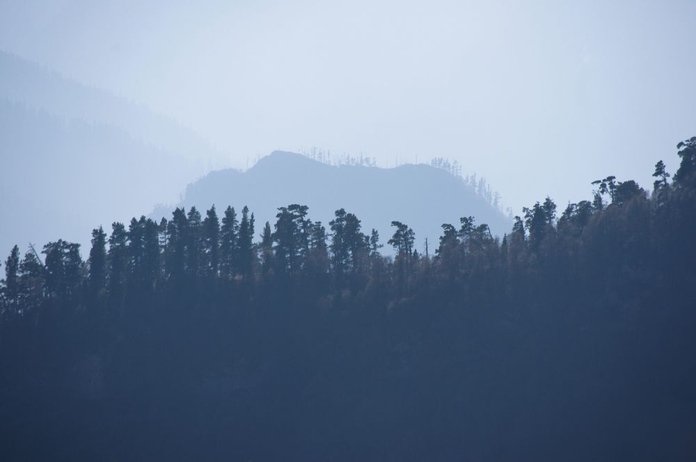 Фотография автора Olga Sarieva