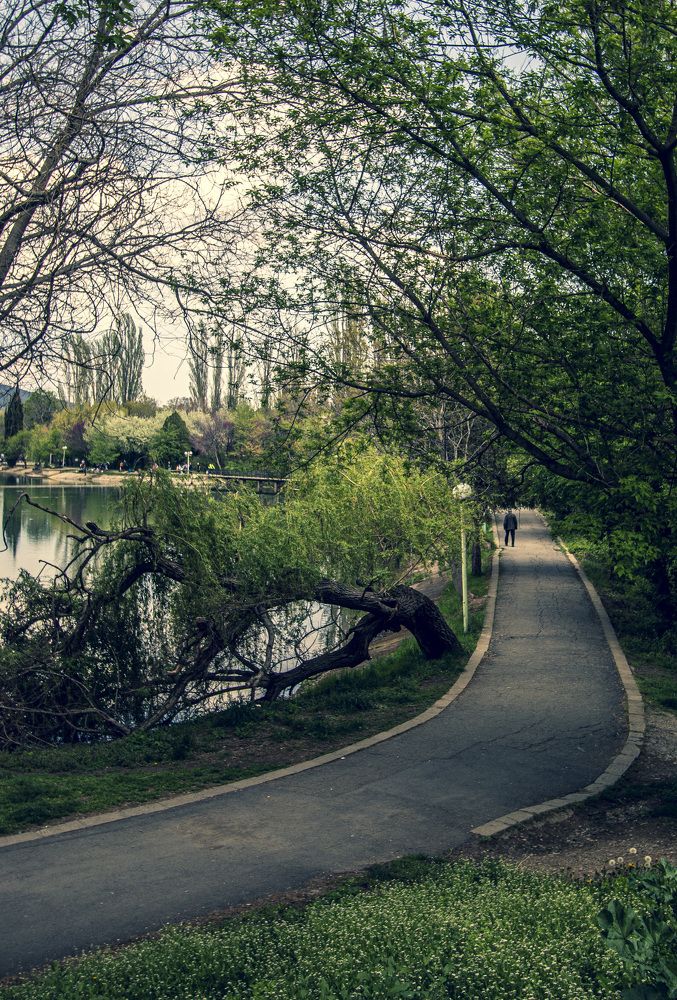 Photograph by Adelina Truhcheva