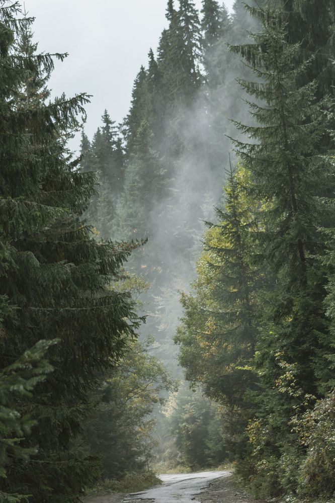 Photograph by Adelina Truhcheva