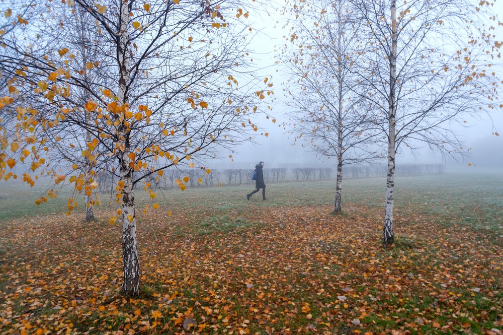 Photograph by Валерий Клейменов