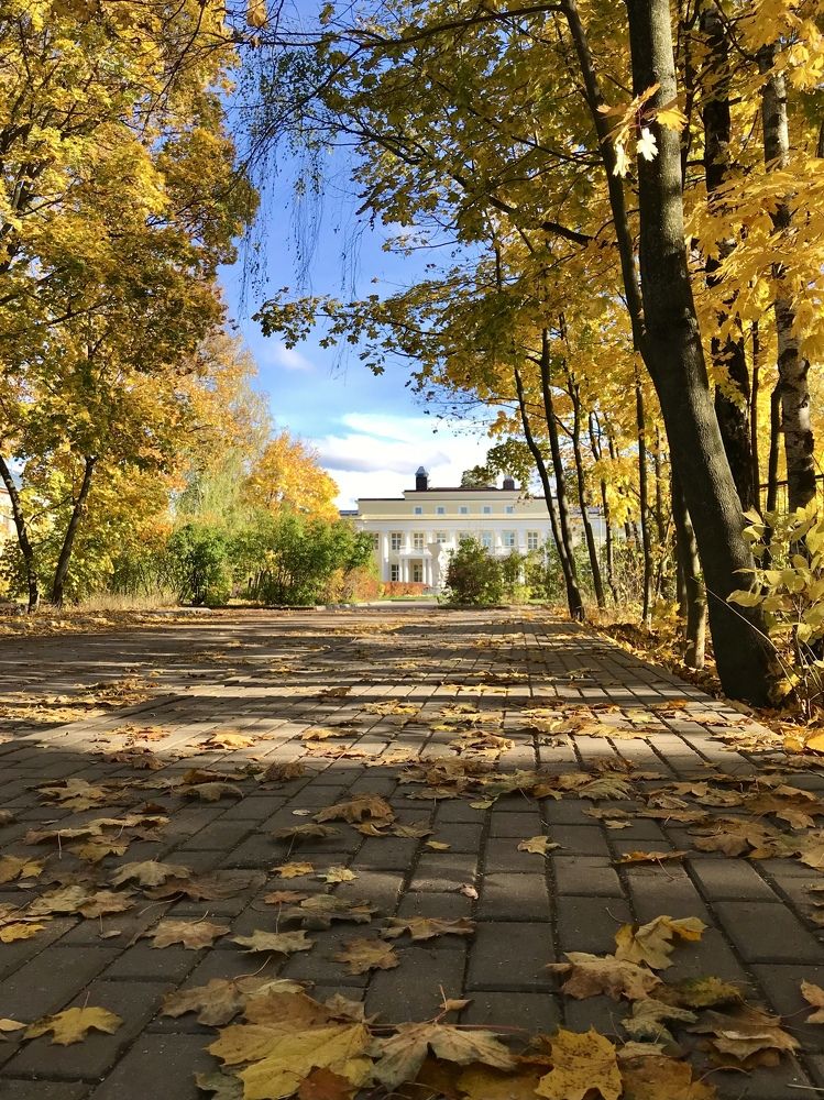 Photograph by Михаил Некрасов