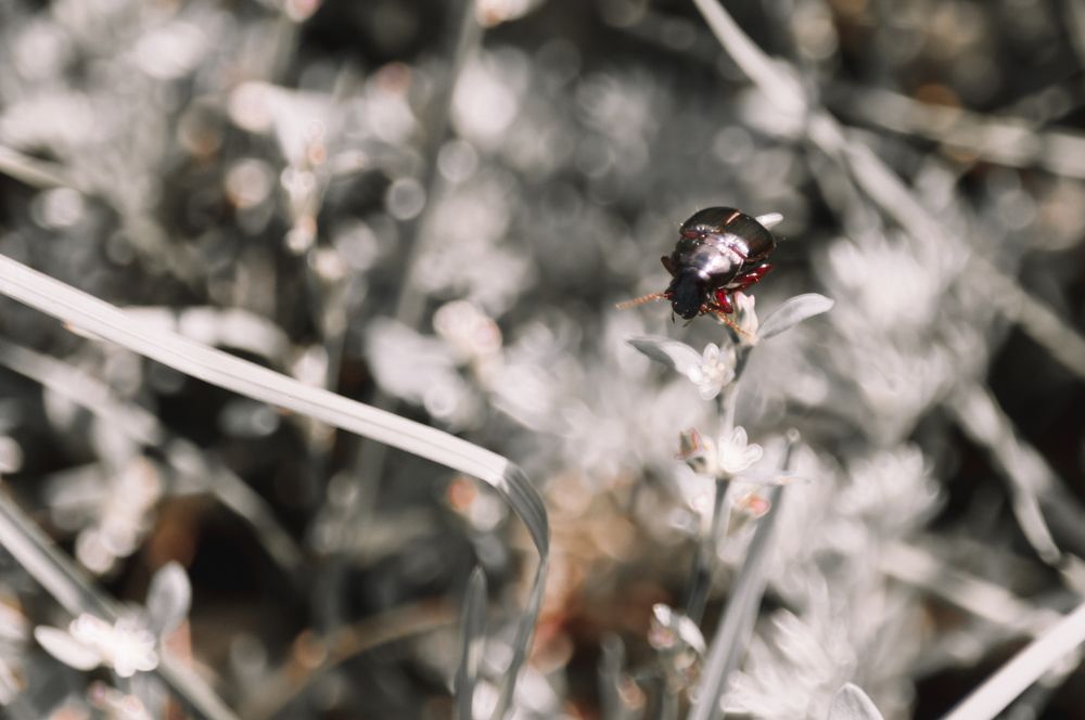 Photograph by Чебесов Олег