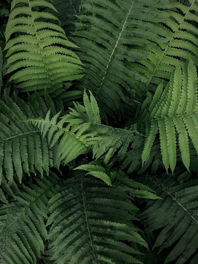 Photograph by Карина Правосуд