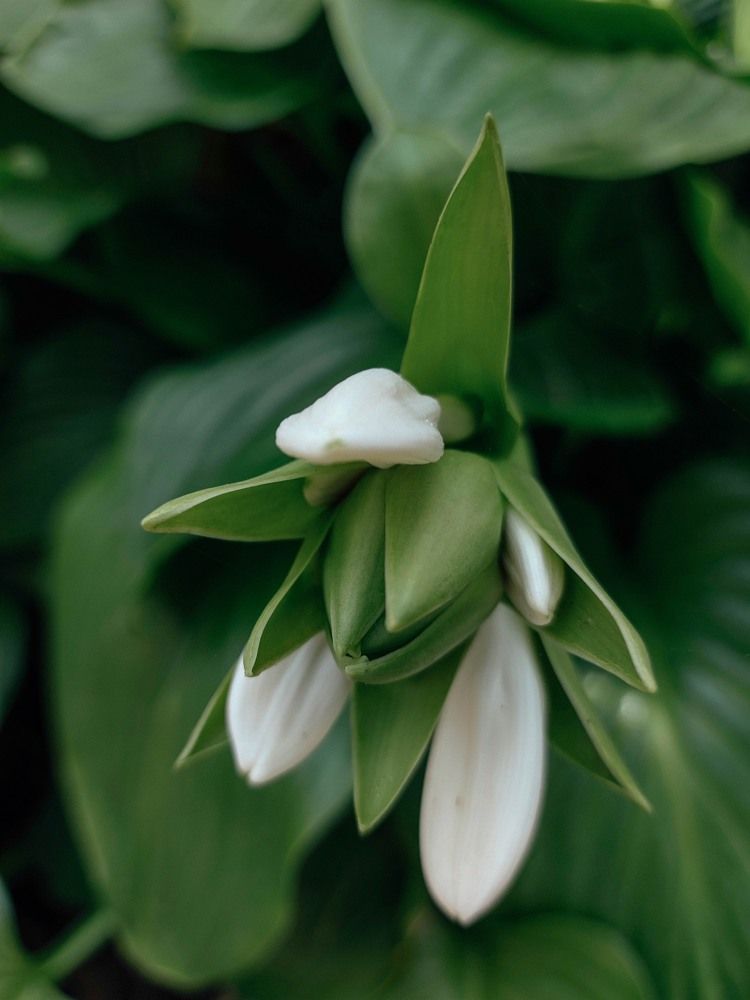 Photograph by Карина Правосуд