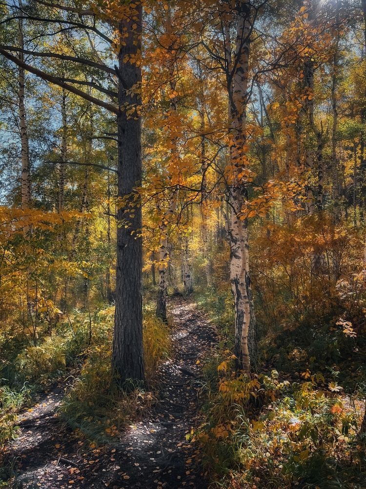 Photograph by Ivan Sazykin