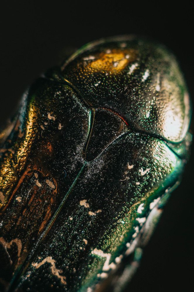 Photograph by Софья Лученкова