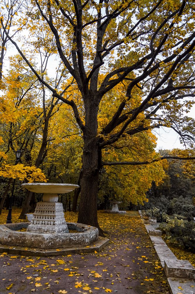 Photograph by Марина Суздаль