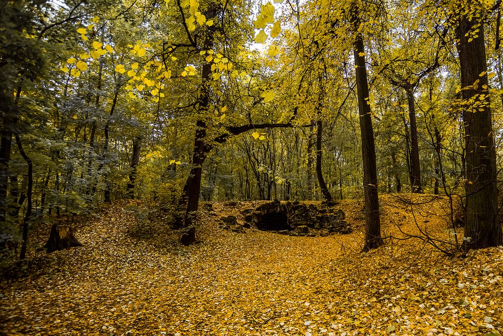 Photograph by Марина Суздаль