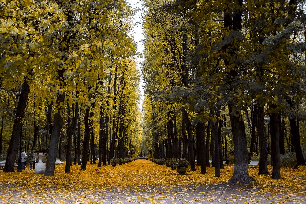 Photograph by Марина Суздаль