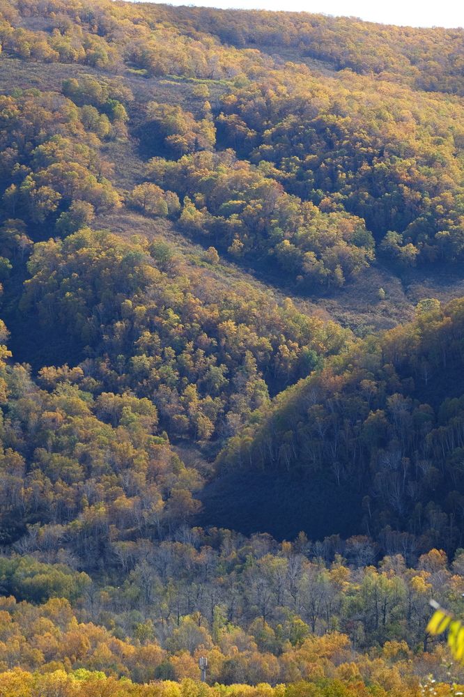 Photograph by Яна Бойко