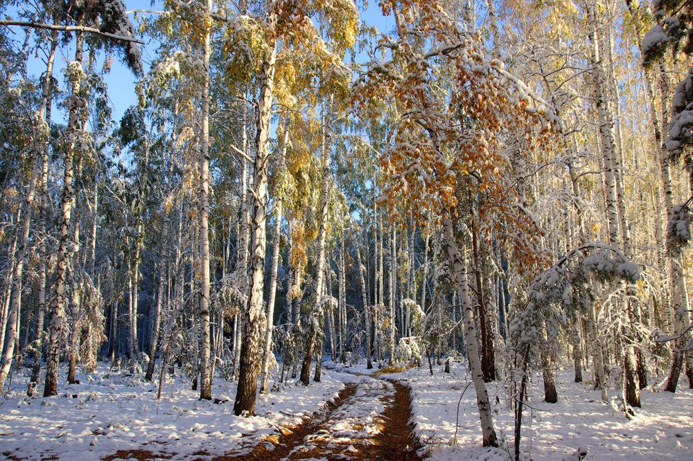 Так уходил сентябрь...