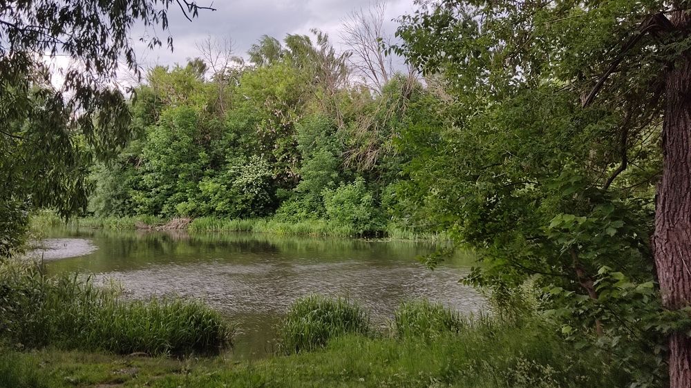 Фотография автора Кира Полотовская