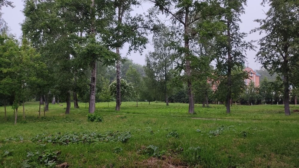 Фотография автора Кира Полотовская