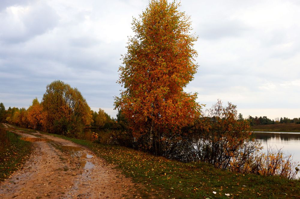 Фотография автора Людмила Иванова