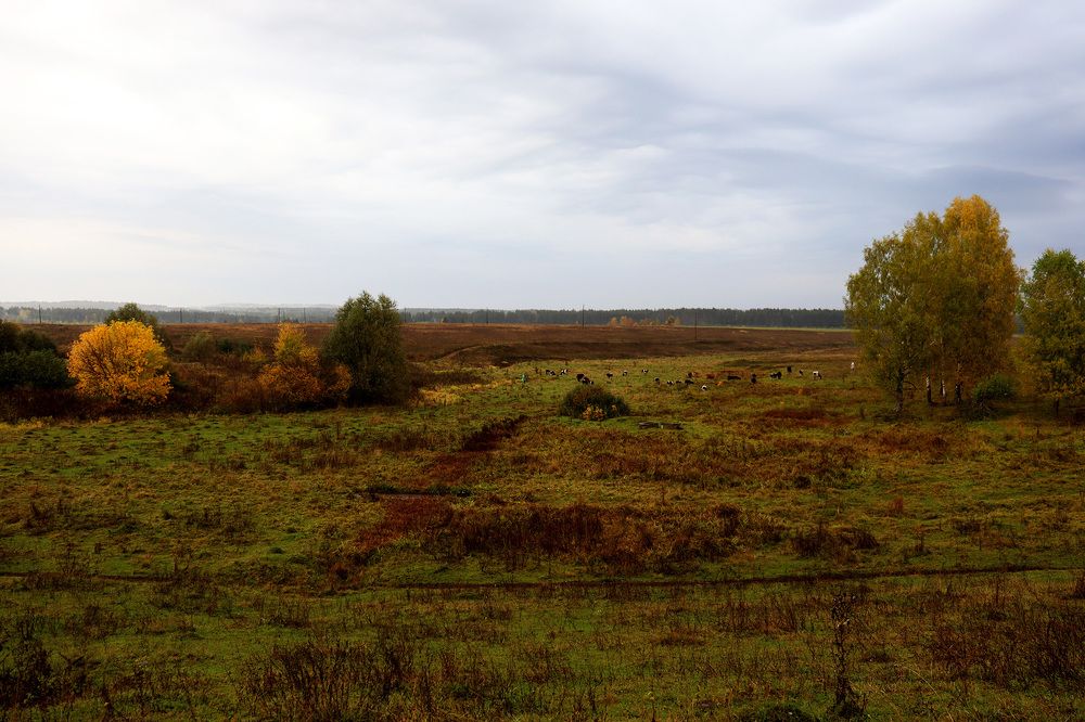 Фотография автора Людмила Иванова