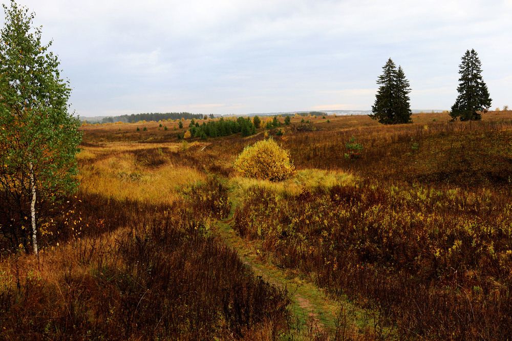 Фотография автора Людмила Иванова