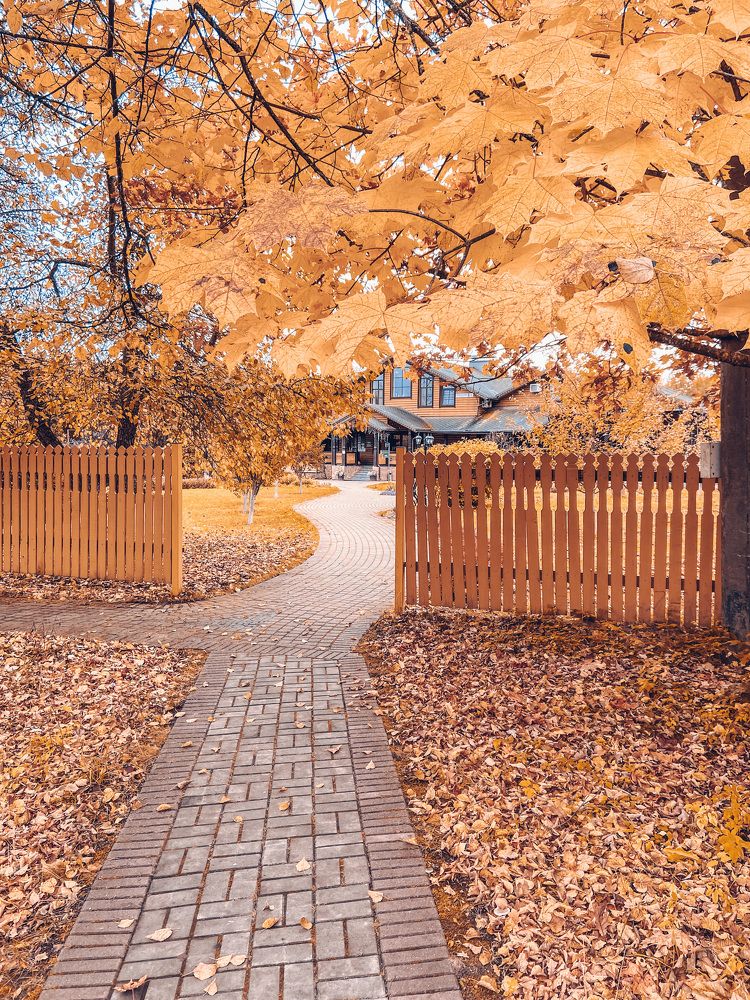 Photograph by Маргарита Миронова