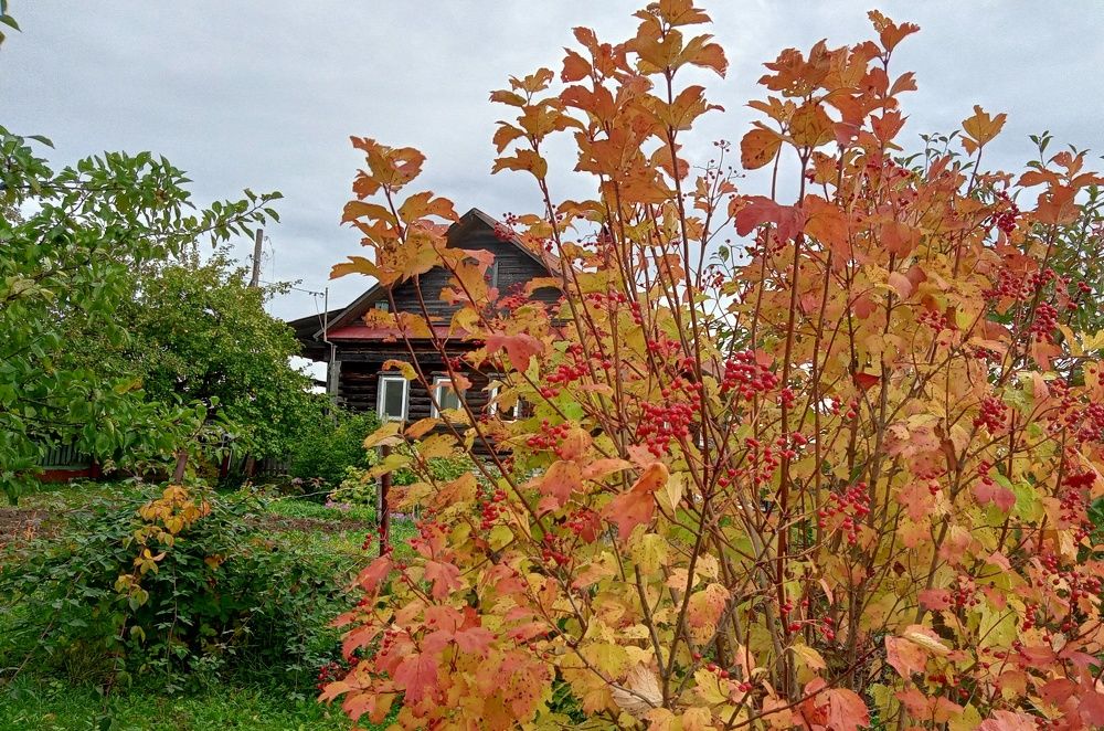 Photograph by Валентина Смирнова