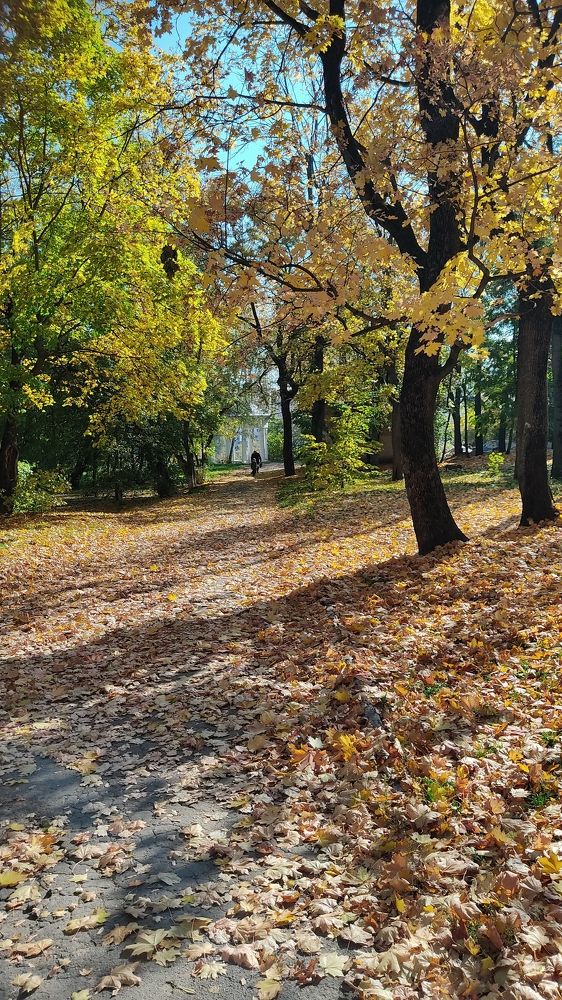 Фотография автора Кира Полотовская