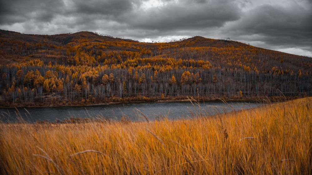 Photograph by Шмаков Денис