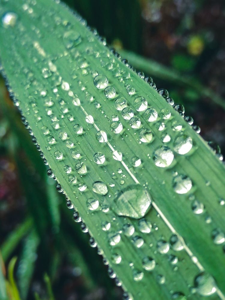 Photograph by Дмитрий Чирков