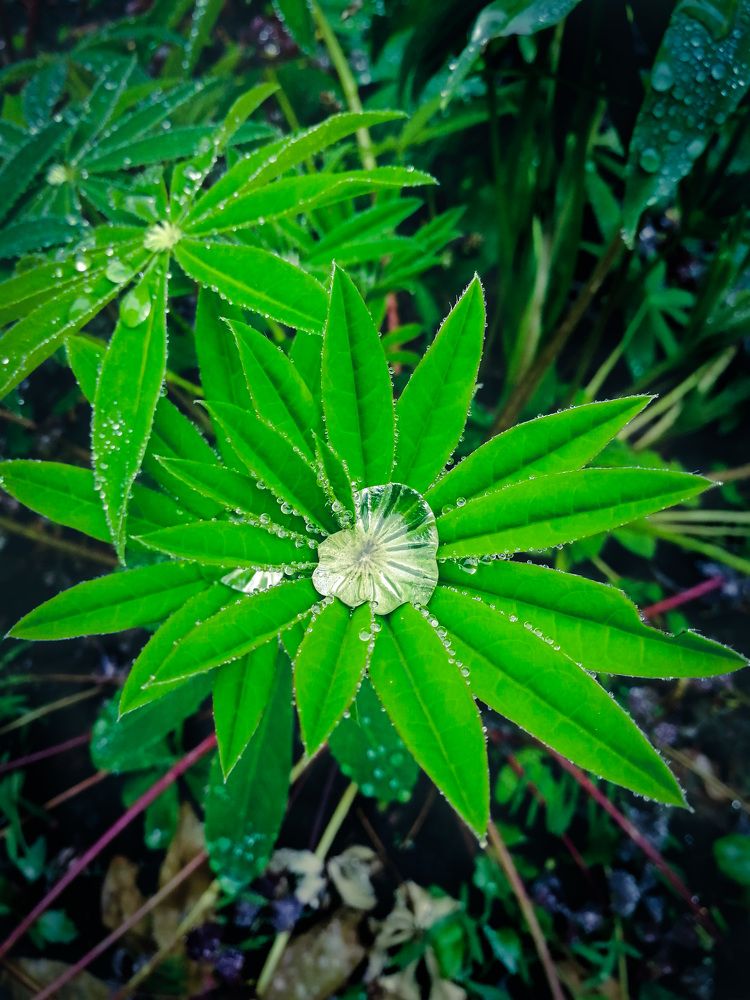 Photograph by Дмитрий Чирков