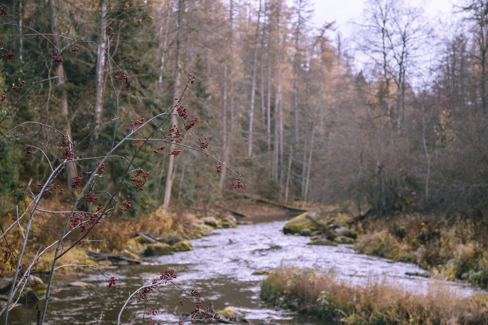 Фотография автора Станислава Гордеева