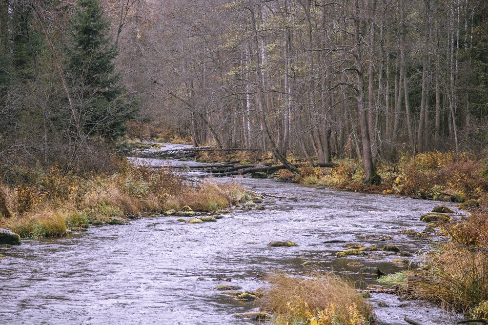 Фотография автора Станислава Гордеева