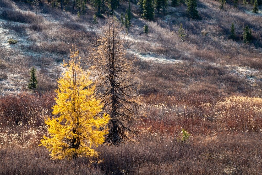 Фотография автора Viktoriya Kim