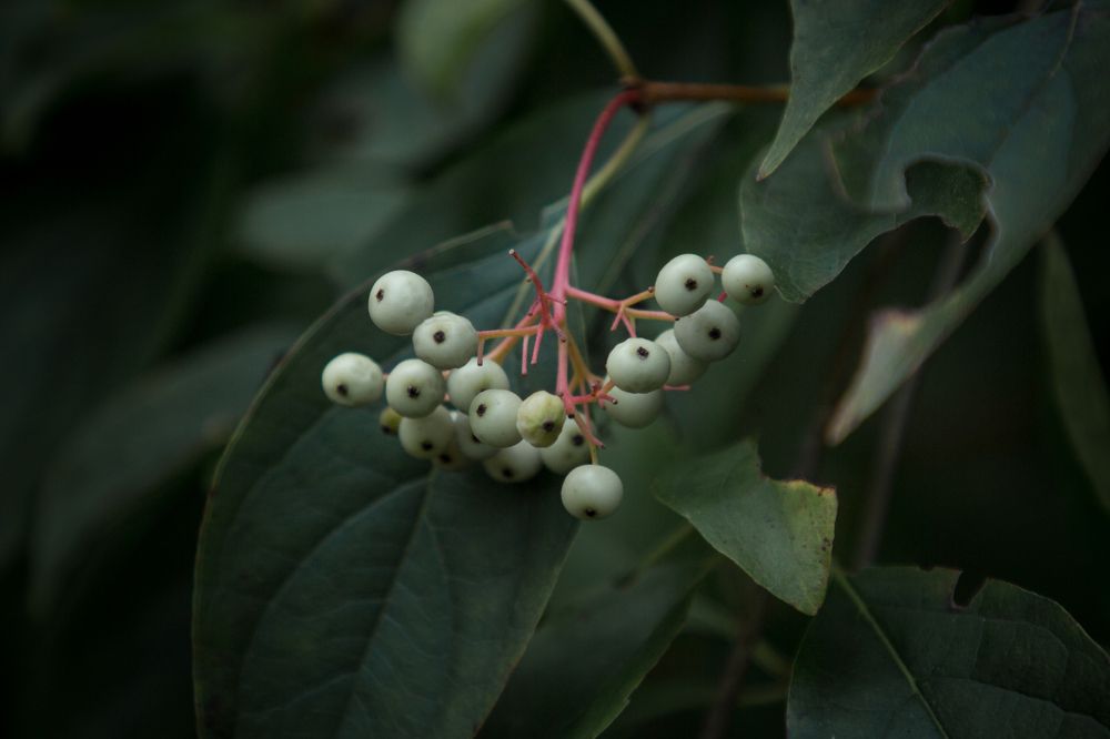 Photograph by Елена Кондратьева