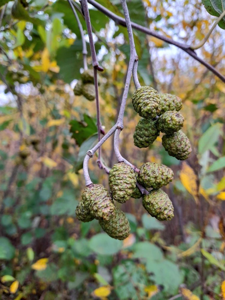 Photograph by Преснухина Екатерина