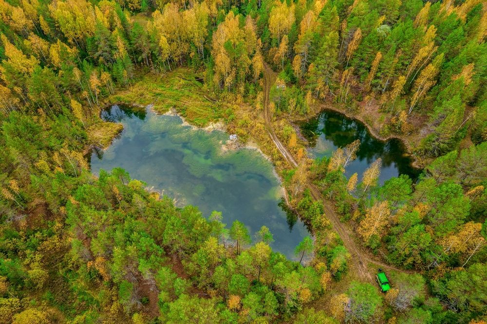 Лесное озеро