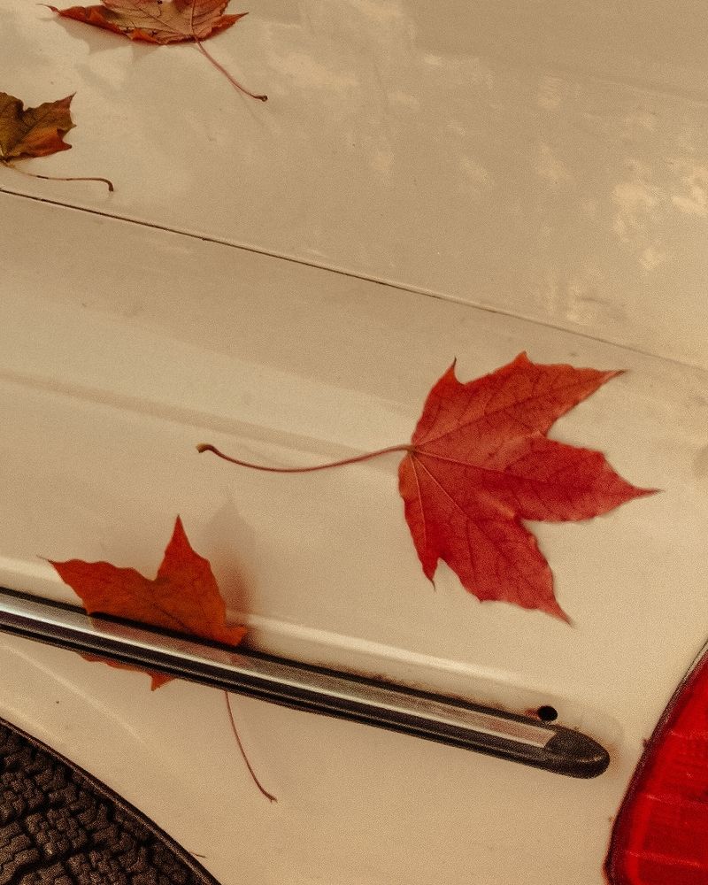 Photograph by Александра Якуцевич