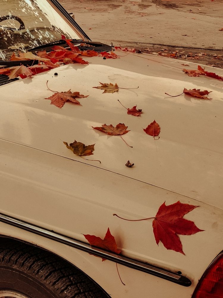 Photograph by Александра Якуцевич