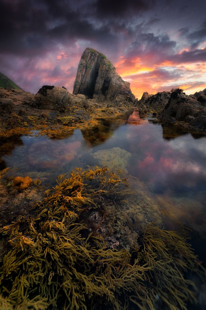 Photograph by Camacho Anto