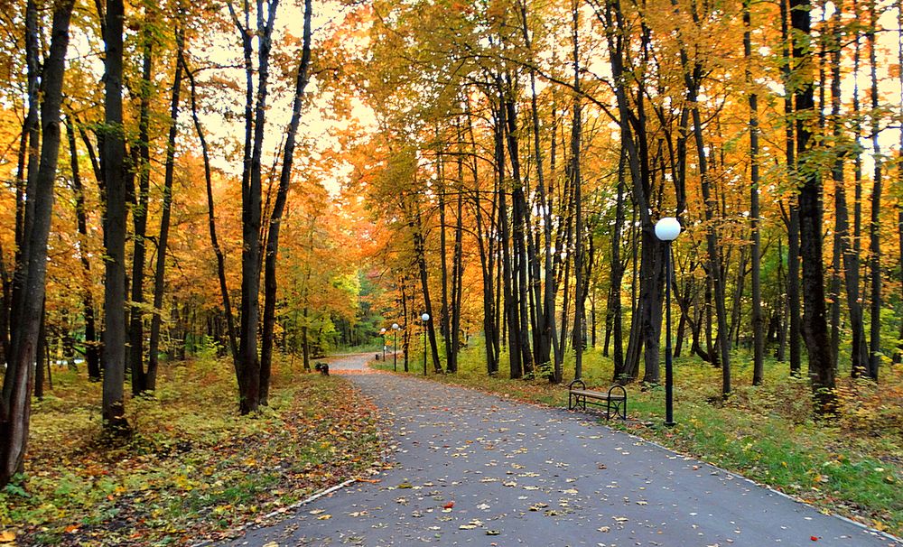 Осенние краски в парке