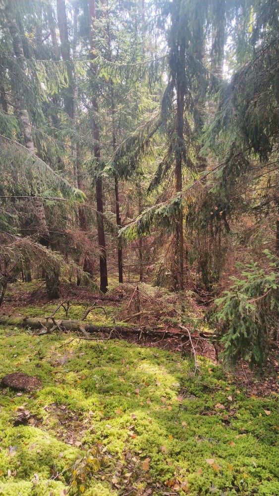 Photograph by Andrejs Peculevics