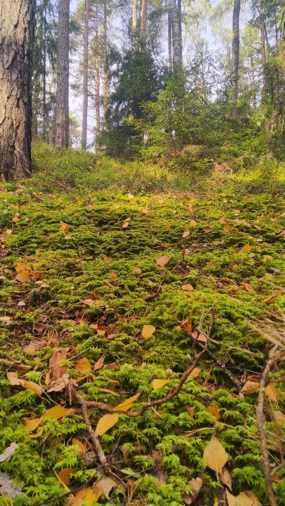 Photograph by Andrejs Peculevics