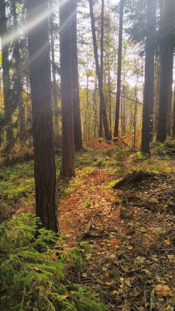 Photograph by Andrejs Peculevics