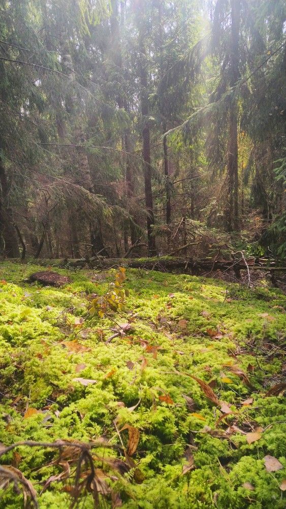 Photograph by Andrejs Peculevics