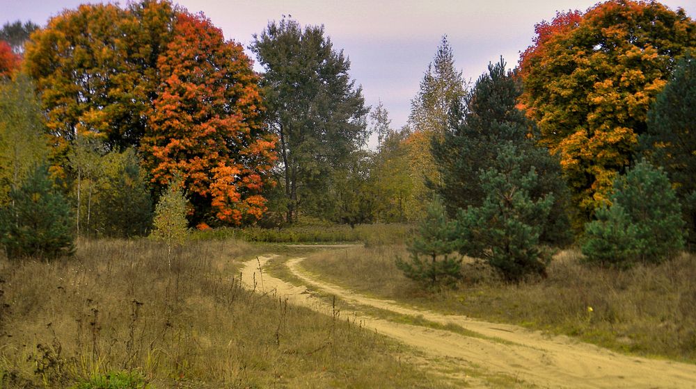 Осенние краски в Полесье