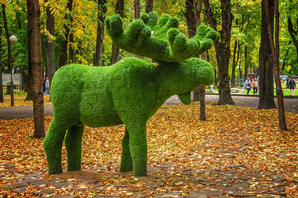 Photograph by Татьяна Семенова