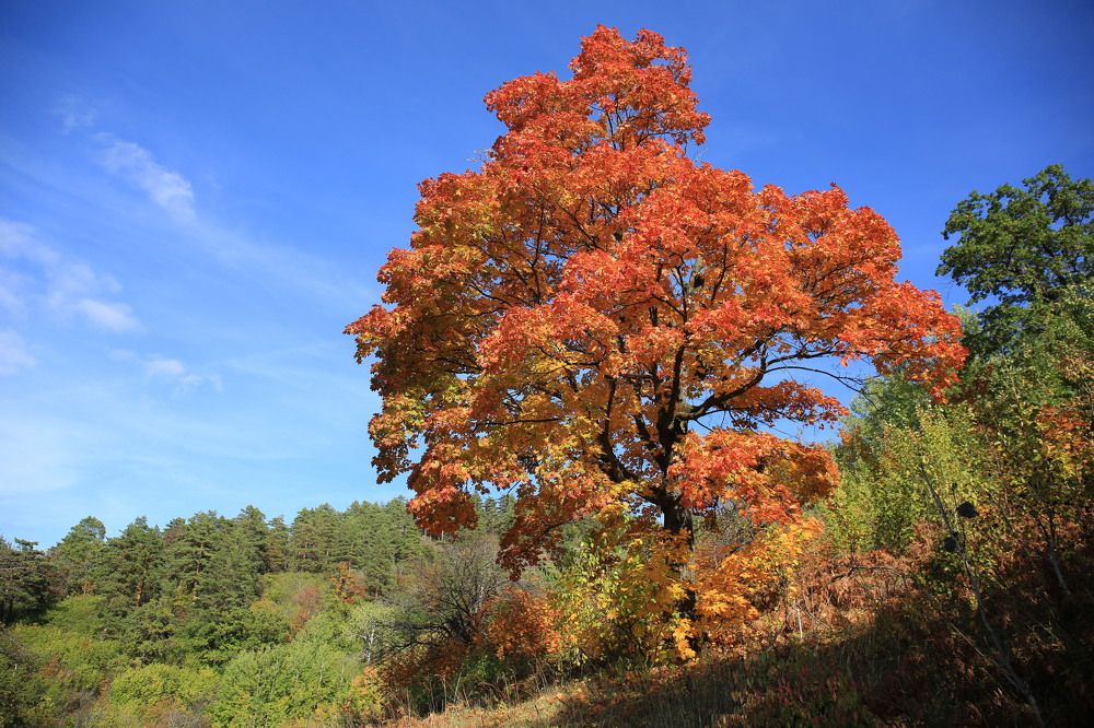 Photograph by Марина Юрченко