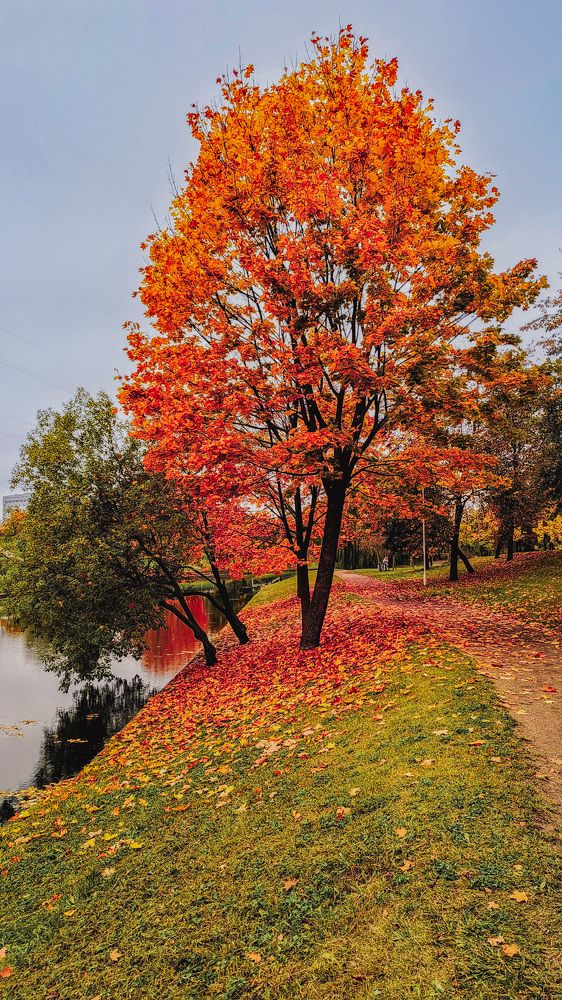 Photograph by Людмила Казак